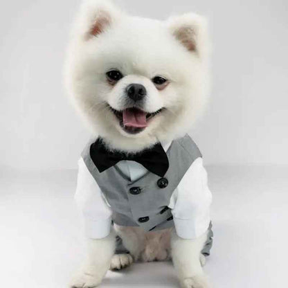 Distinguished Gentleman Two-Piece Dog Suit | Formal Dog Outfit Set