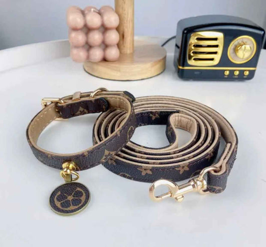 Gigi Brown Dog Collar and Leash Set | Dog Walking Outfit