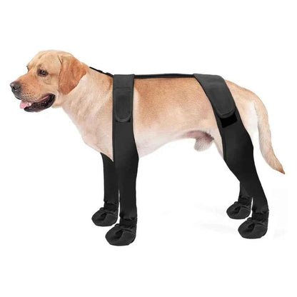 Dog Boots