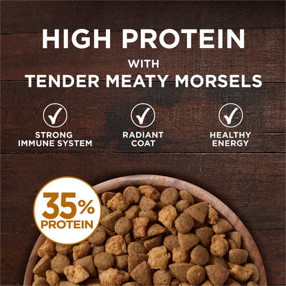 Purina ONE True Instinct Grain Free Dry Cat Food, High Protein Chicken - 6.53 kg Bag 🍁 All In One Marketplace Canada