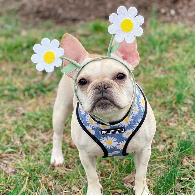 Daisy Harness