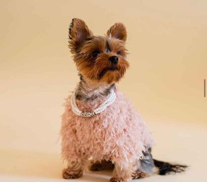 Isabella Dog Dress – Elegant Outfit for Dogs