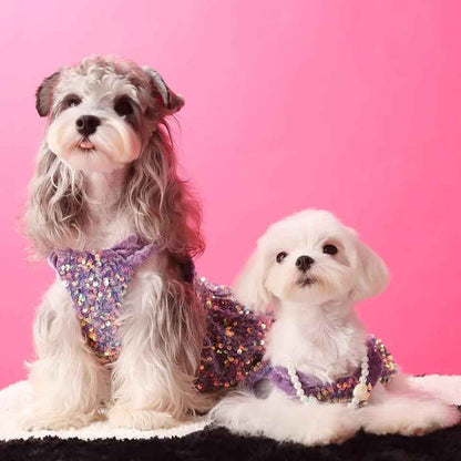 New Years Lover Sequin Dog Dress | Luxury Party Pet Dress