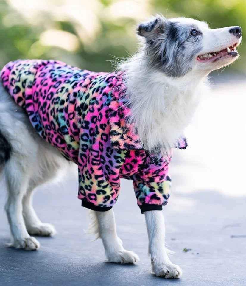 Urban Wild Dog Jacket | Medium to Large Breed Outerwear
