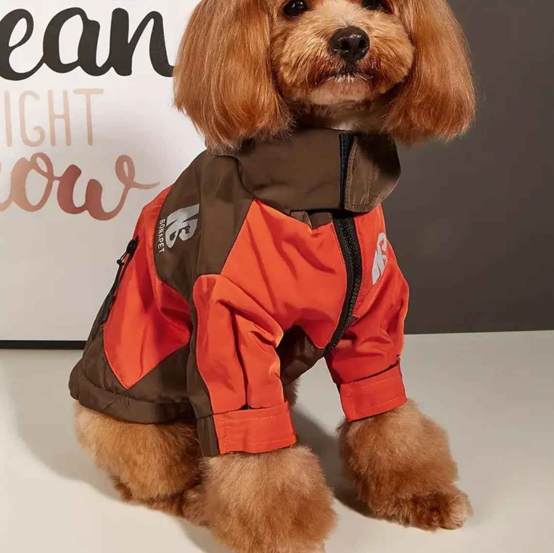 Charlise Dog Jacket | Dog Jacket for Cold Weather