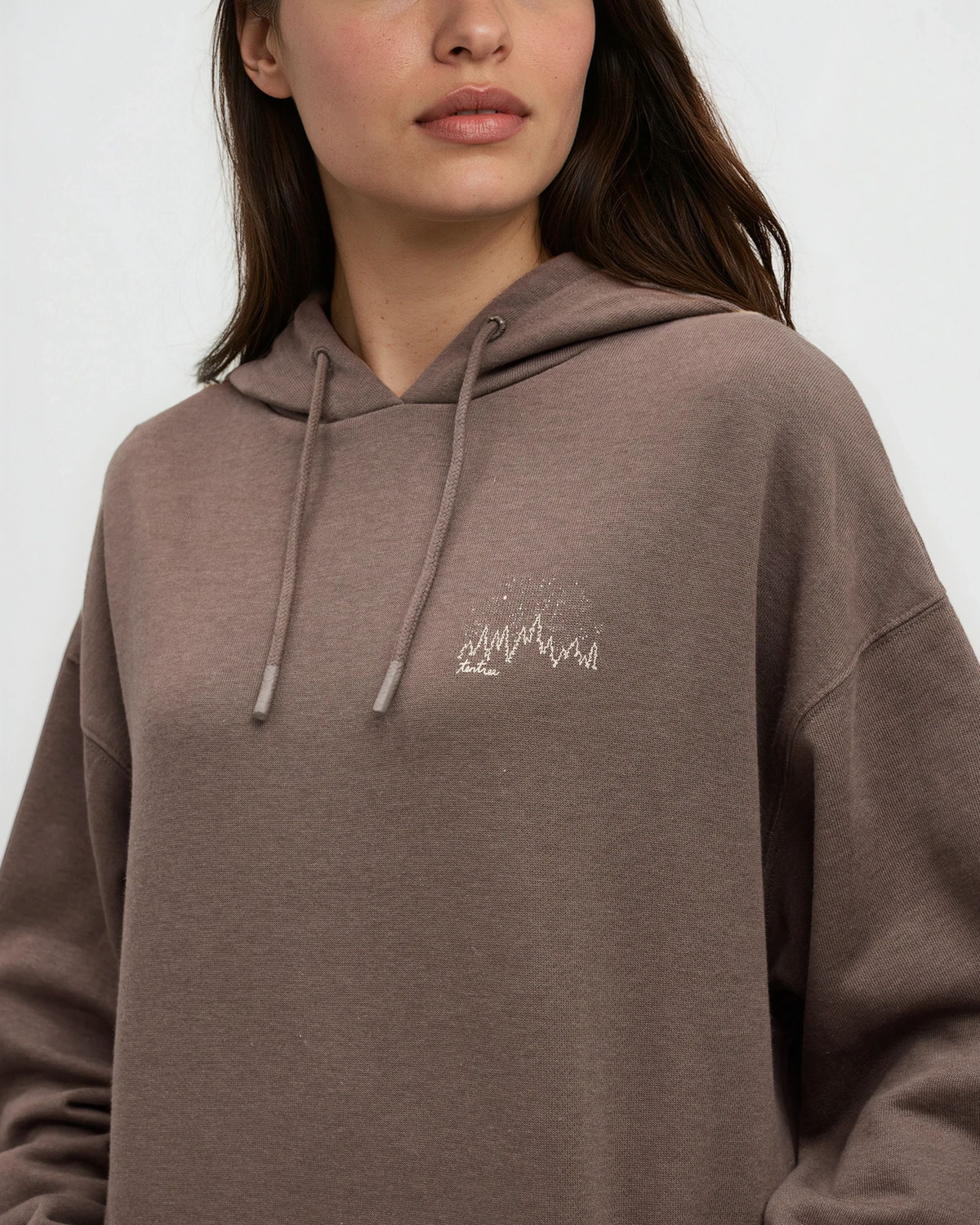 Parks Landscape Oversized Hoodie
