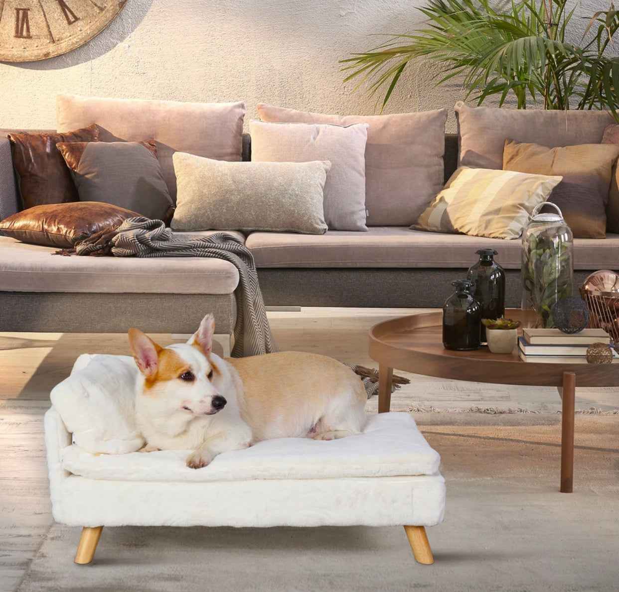 Nordic Dog & Cat Bed | Sofa Style Pet Bed