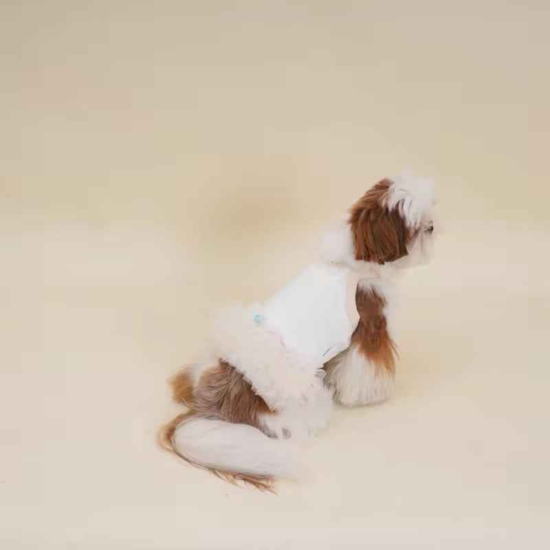 Tina Dress for Dogs – Elegant Tutu Dog Dress