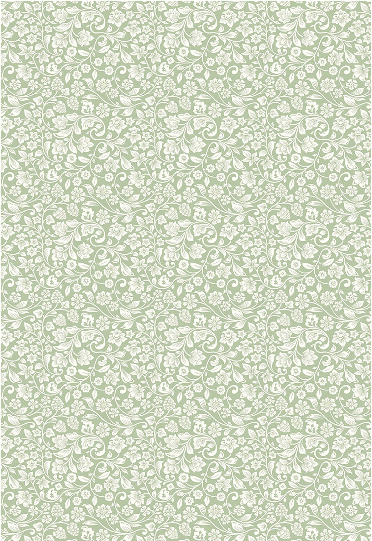 Ciao Bella Vellum Enchanted Land Paper Patterns A4 6/Pkg