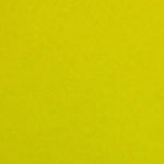 Colorplan 12X12 Cardstock 100#CV - 10 Sheets