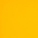 Colorplan 12X12 Cardstock 100#CV - 10 Sheets