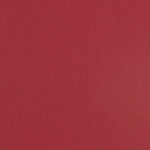 Colorplan 8.5X11 Cardstock 100#CV - 10 Sheets