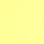 Colorplan 12X12 Cardstock 100#CV - 10 Sheets