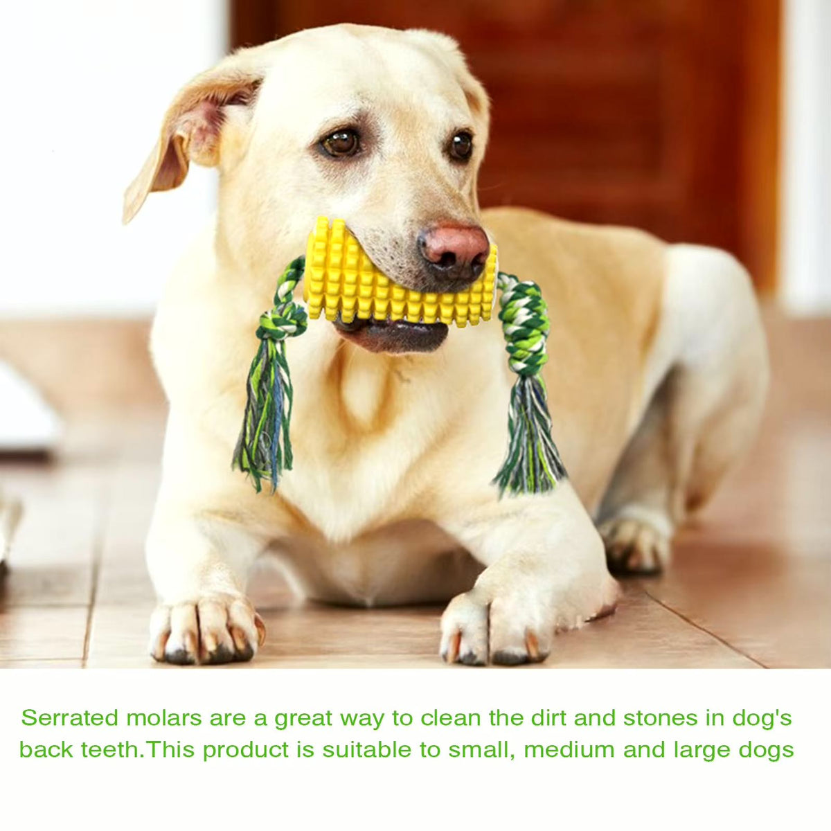 Corn Dog Chew Toy for Aggressive Chewers