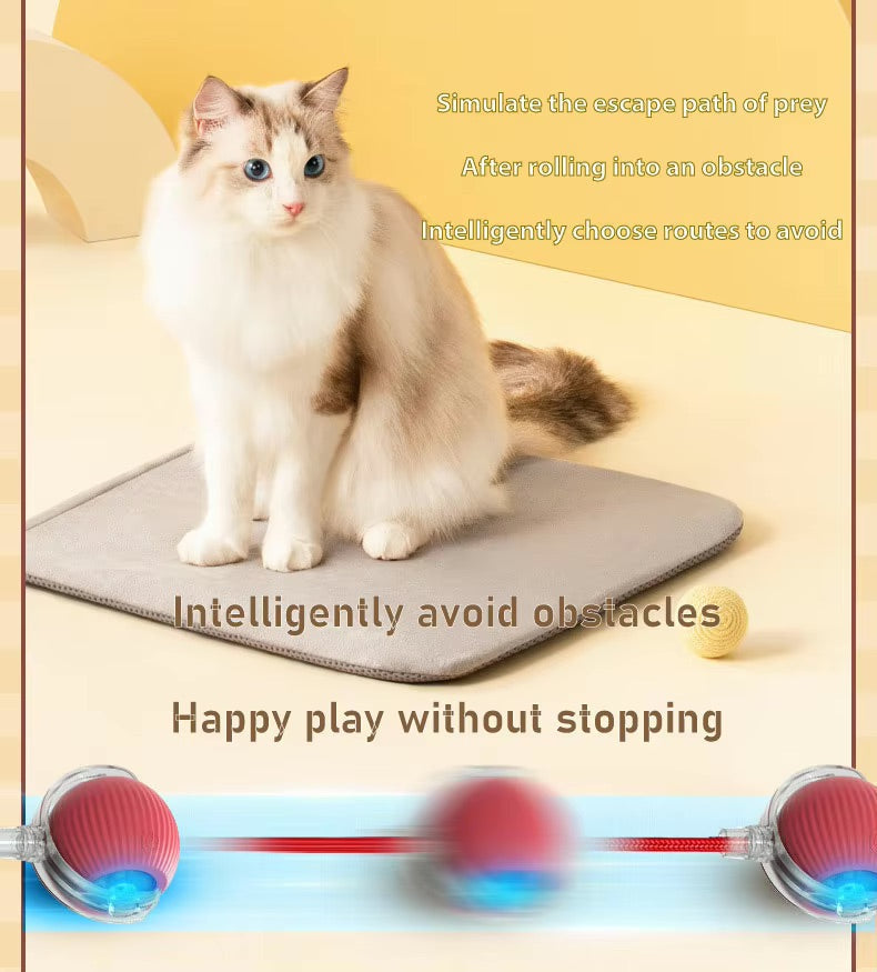 Pet Vibrating Bouncing Ball Toy with Tail