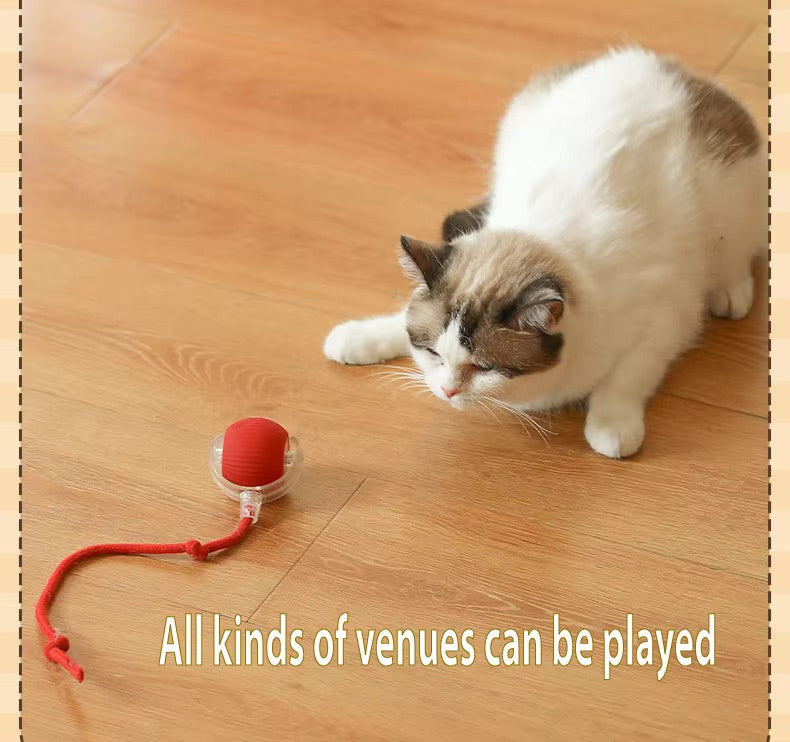 Pet Vibrating Bouncing Ball Toy with Tail