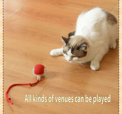 Pet Vibrating Bouncing Ball Toy with Tail