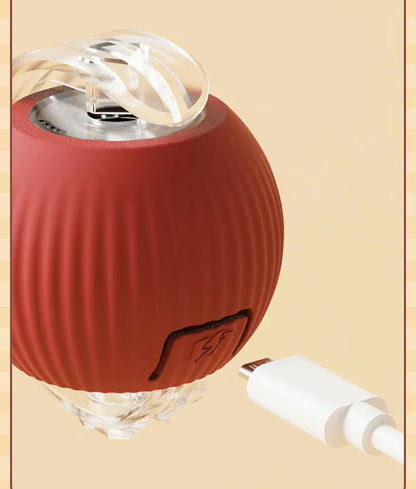 Pet Vibrating Bouncing Ball Toy with Tail