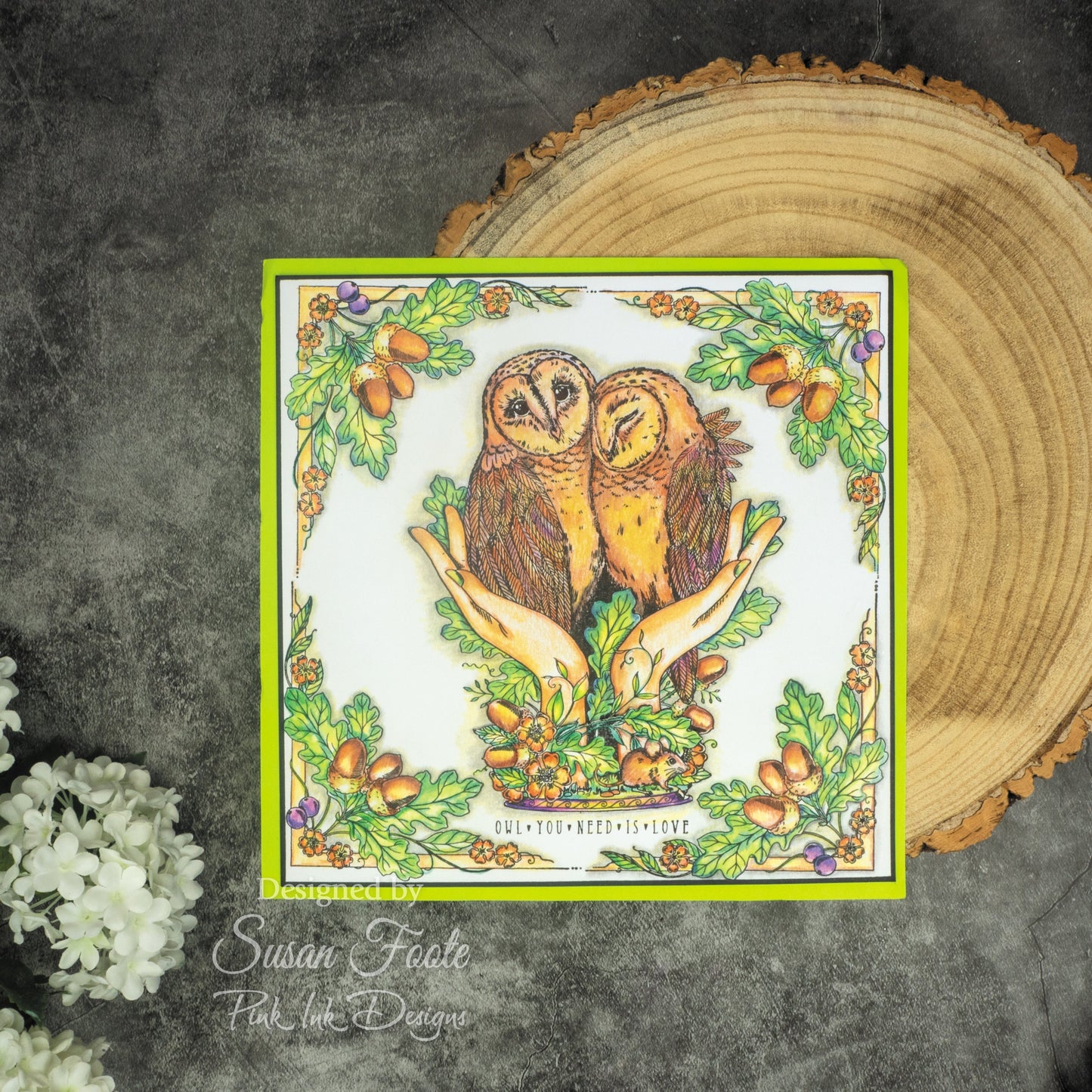 Pink Ink Designs An Owl In The Hand 6 in x 8 in Clear Stamp Set
