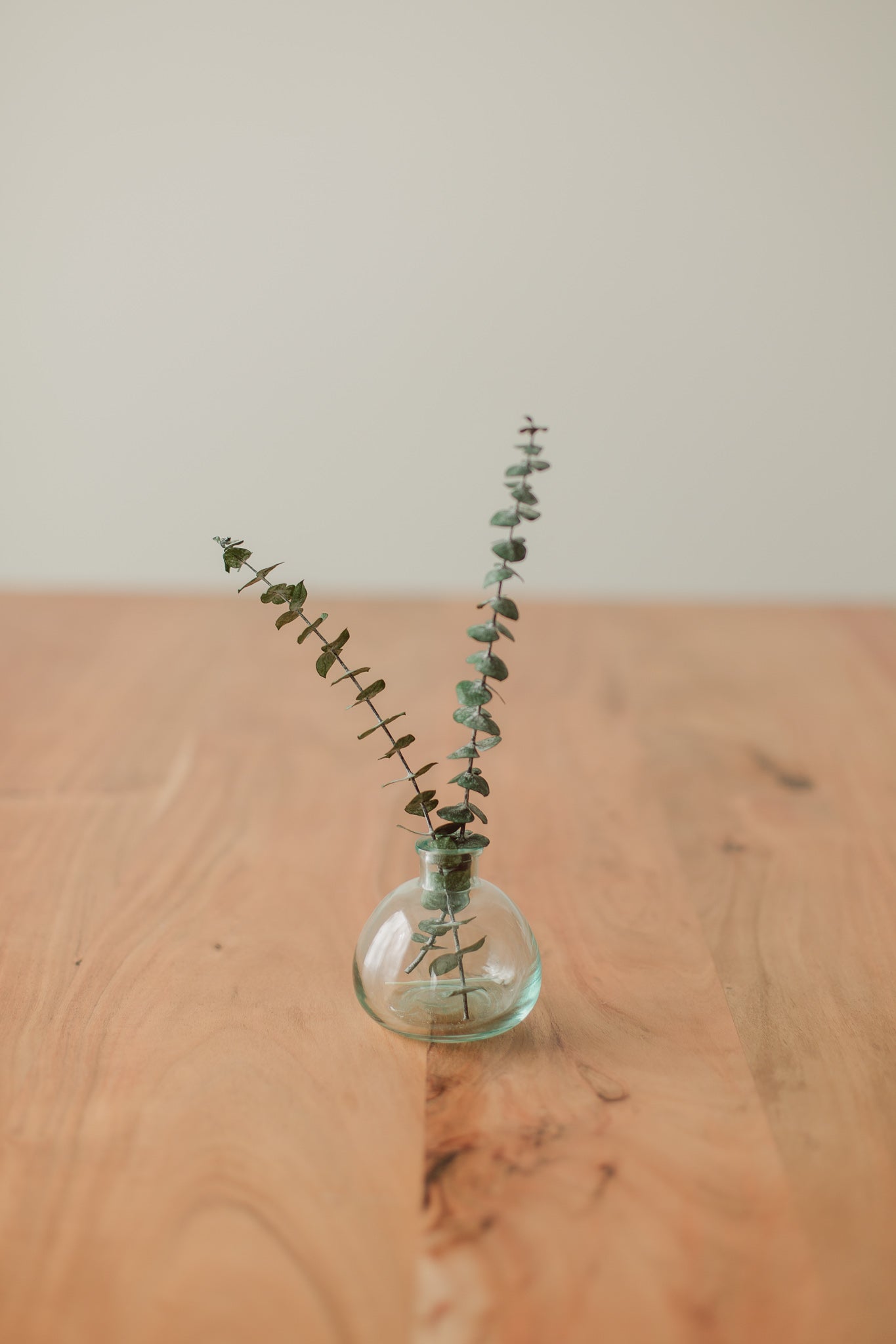 Preserved Small Stems