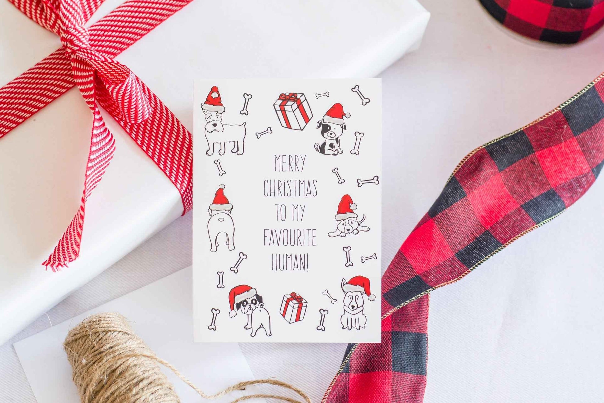 Merry Christmas To My Favourite Human! (Dog) - Greeting Card