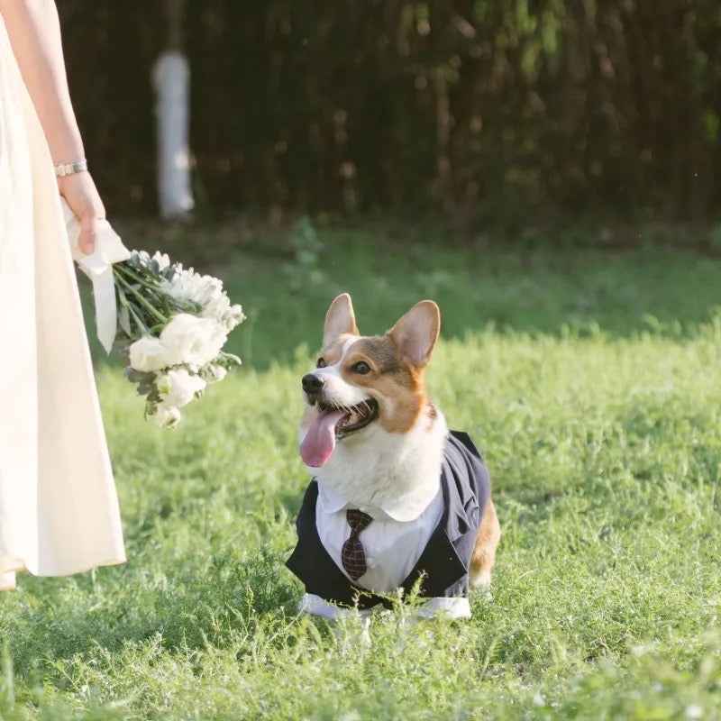 Dog Wedding Tuxedo Suit | Formal Outfit