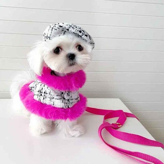 Ultra Violet Harness Set | Dog Harness Leash and Hat Set