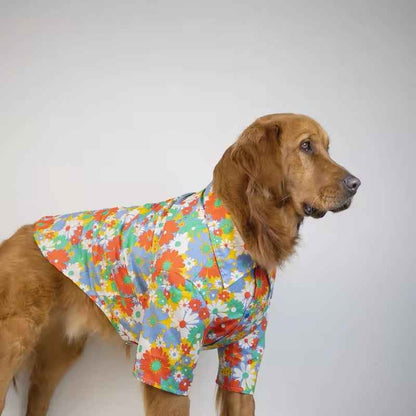 Merle Spring Shirt – Dog Shirt for Large Dogs