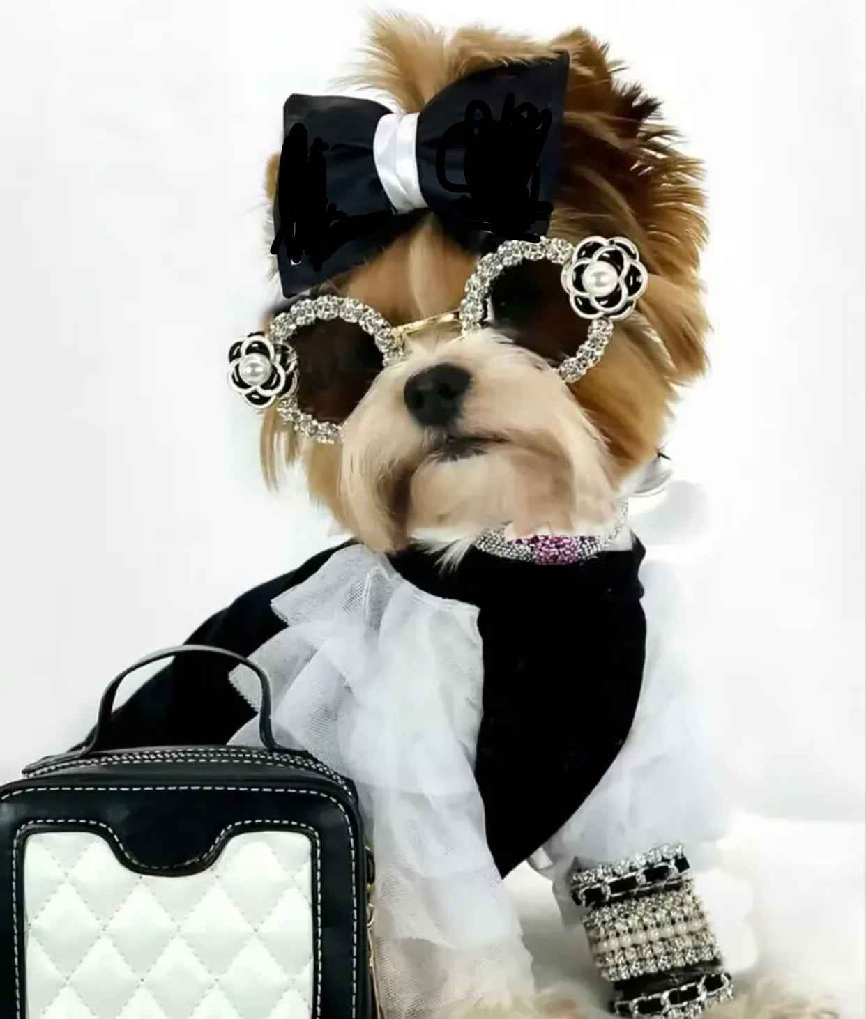 Coco Chewnel Rhinestone Dog Sunglasses | Fashion Pet Eyewear