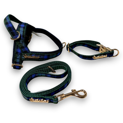Madras Leash with hands-free extension