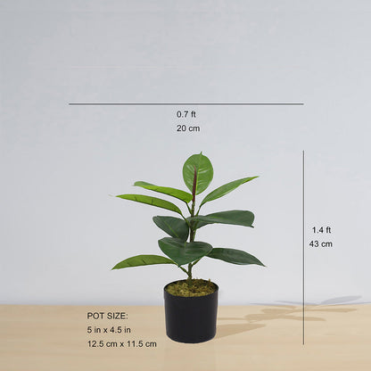 Iza Kunstkautschuk Topfpflanze 42cm