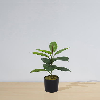 Iza Kunstkautschuk Topfpflanze 42cm