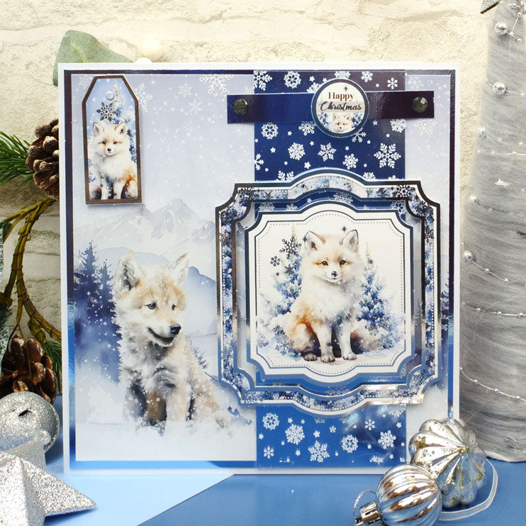 Snow Adorable Mirri Selection