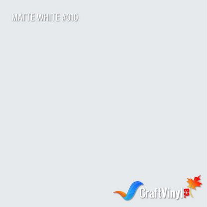 Oracal 651 Matte White #010 sheets and rolls