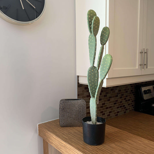Penka Artificial Cactus Potted Plant 26''
