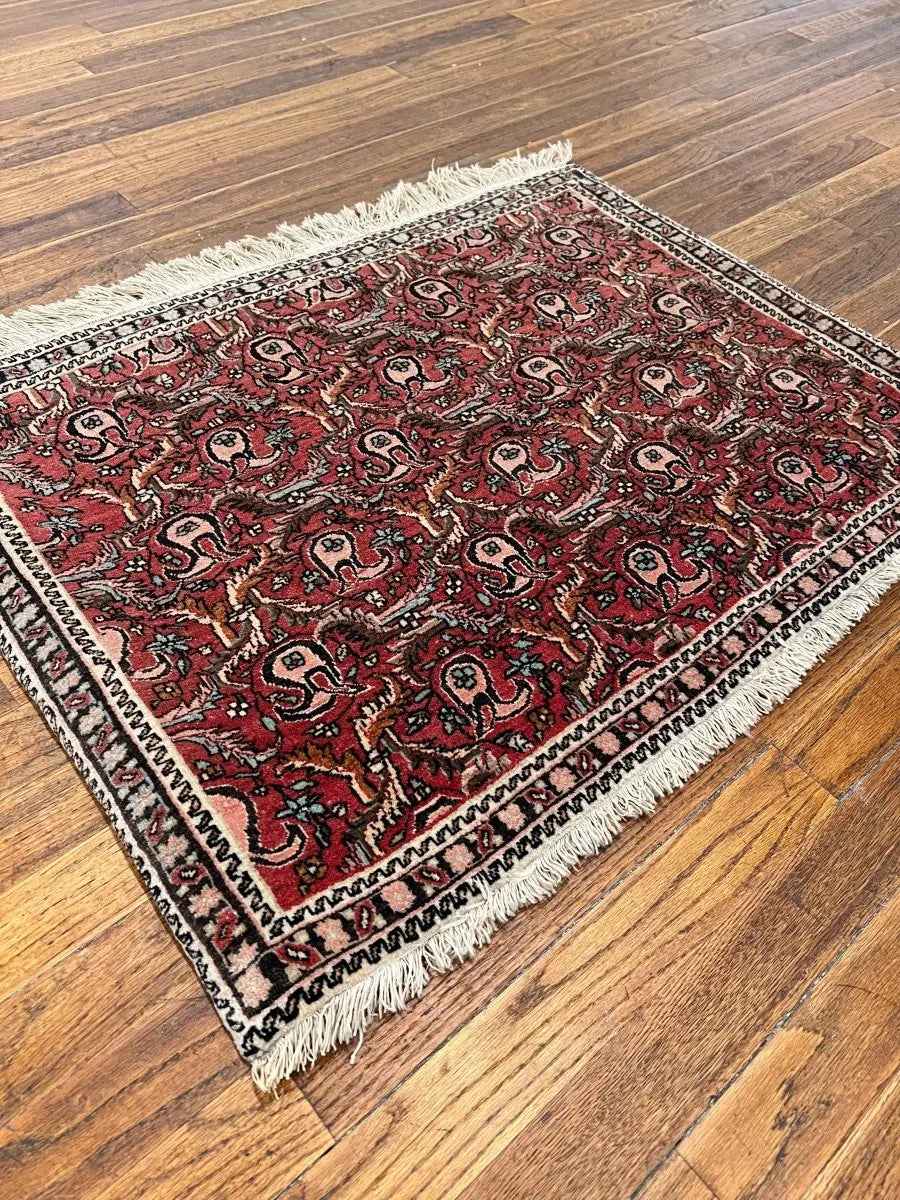 Persian Bijar Rug | 2' 2" x 2' 11"