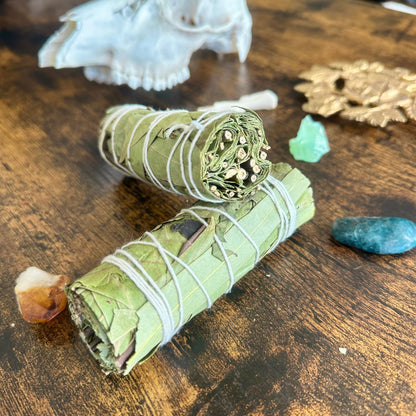 Eucalyptus Smudge Stick
