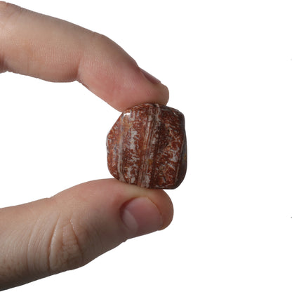 Casanova Chalcedony Tumbled Stones