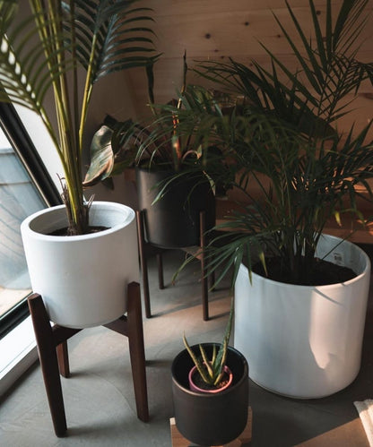 Boni White Mid - Century Cement Planter With Wooden Stand
