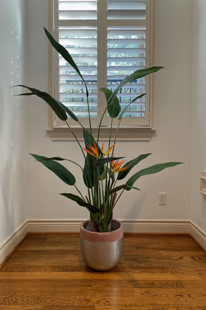 Camilo Glazed Planter 12''