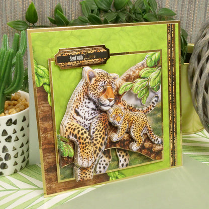 Into The Wild Deco-Large Set - Where I Belong