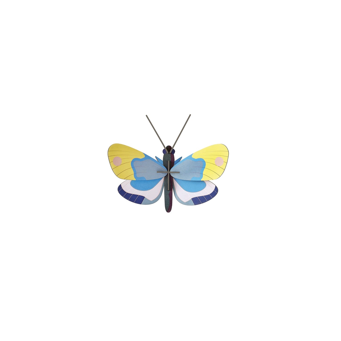 Yellow Monarch Butterfly