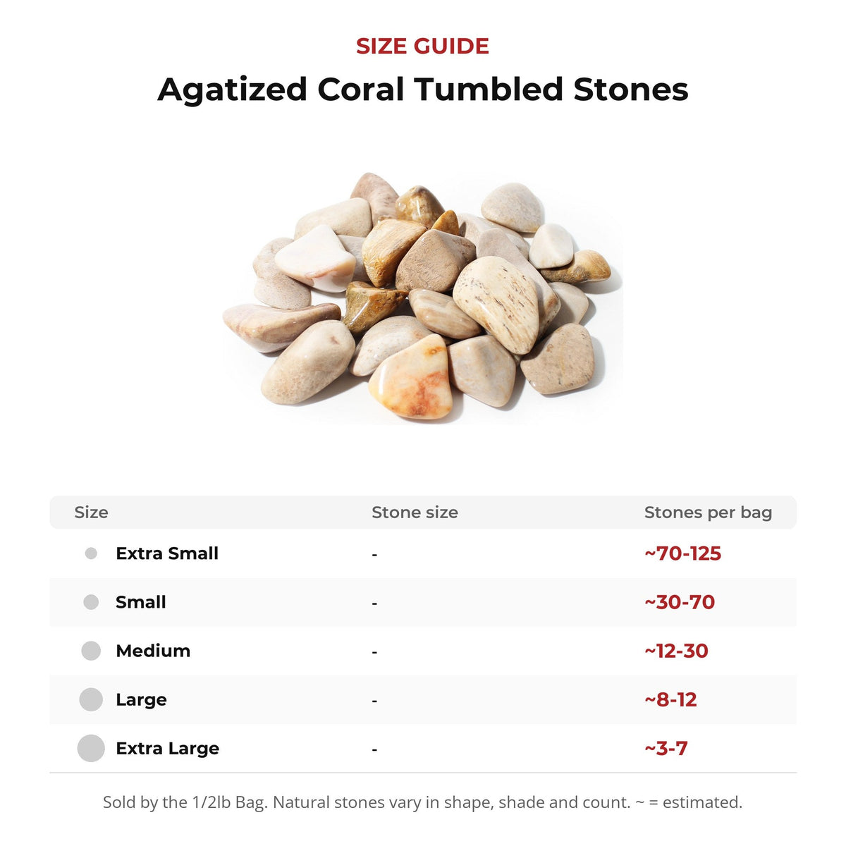 Agatized Coral Tumbled Stones