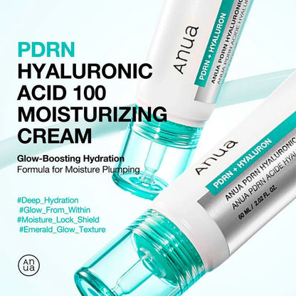 Anua PDRN Hyaluronic Acid 100 Moisture Cream 60ml