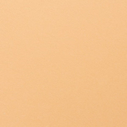 Clairefontaine - Maya Cardstock 120lb Paper - 8¼x11¾"