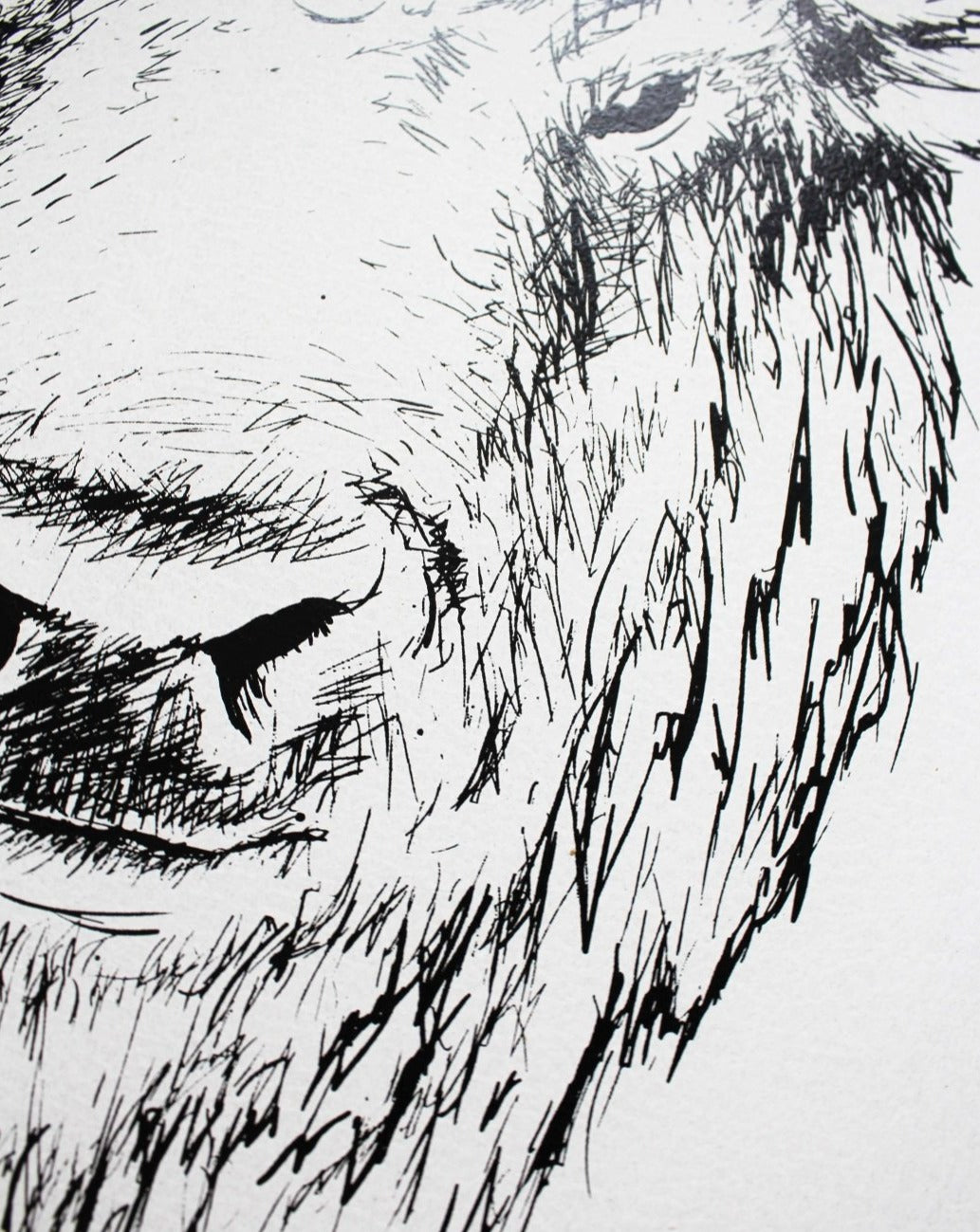 Buffalo Head (Earl) Wood Sign - AURABAGS SHOP