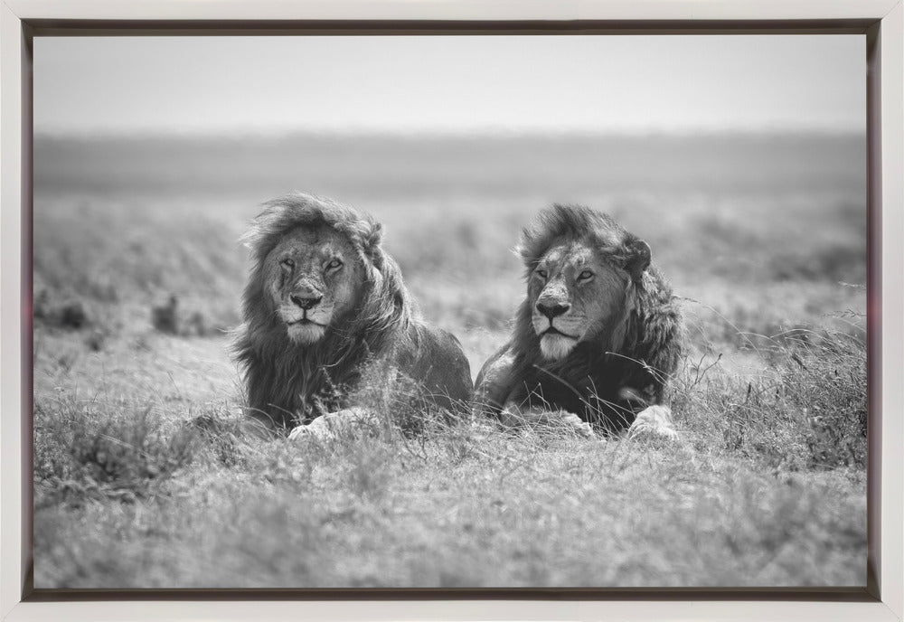 Wall art Two kings