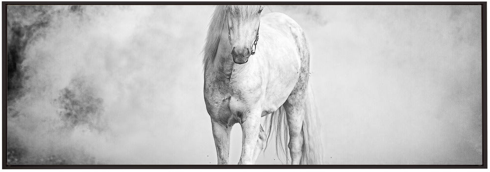 Wall art Icelandic pony