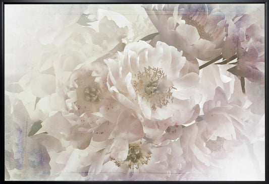 Wandbild Ombre033Blume
