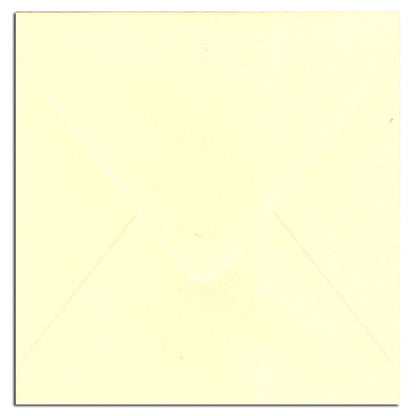 Envelopes 5x5 20 pack